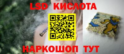 СК Рыбинск